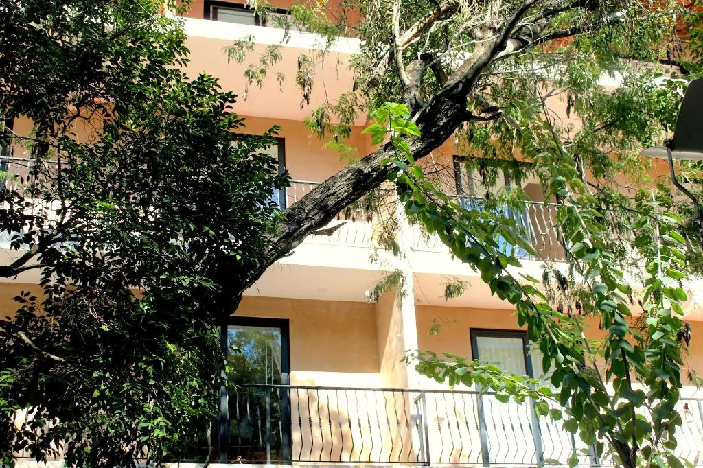 General view, Calea Tulum, Cancun Area