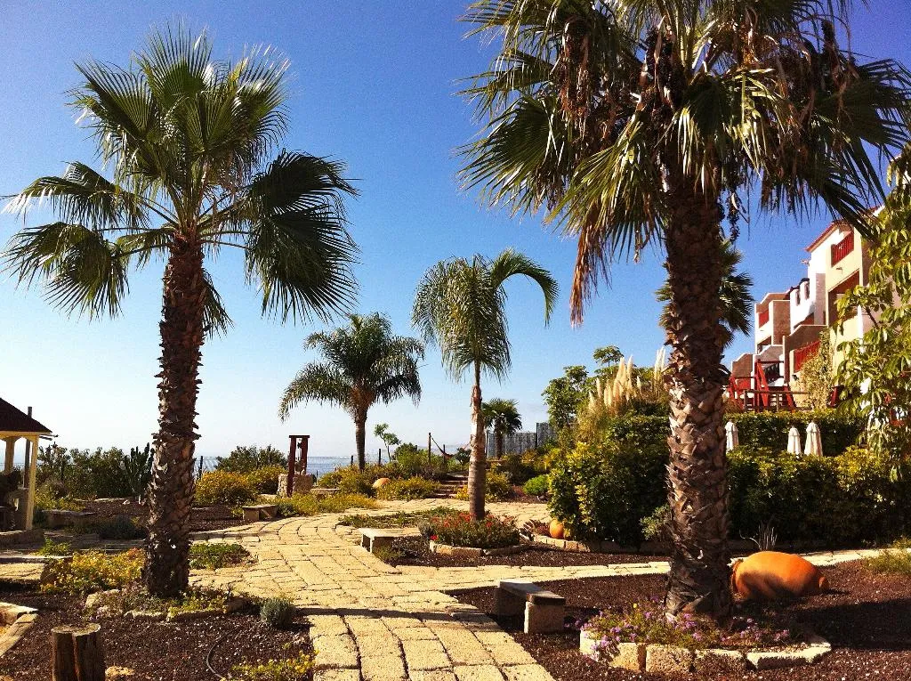 General view, Finca Vistabonita, Tenerife