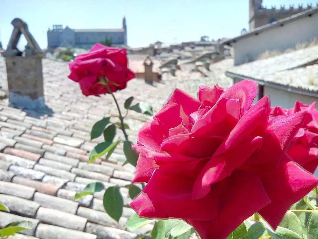 Terrace, Orvieto In Terrazza, Perugia