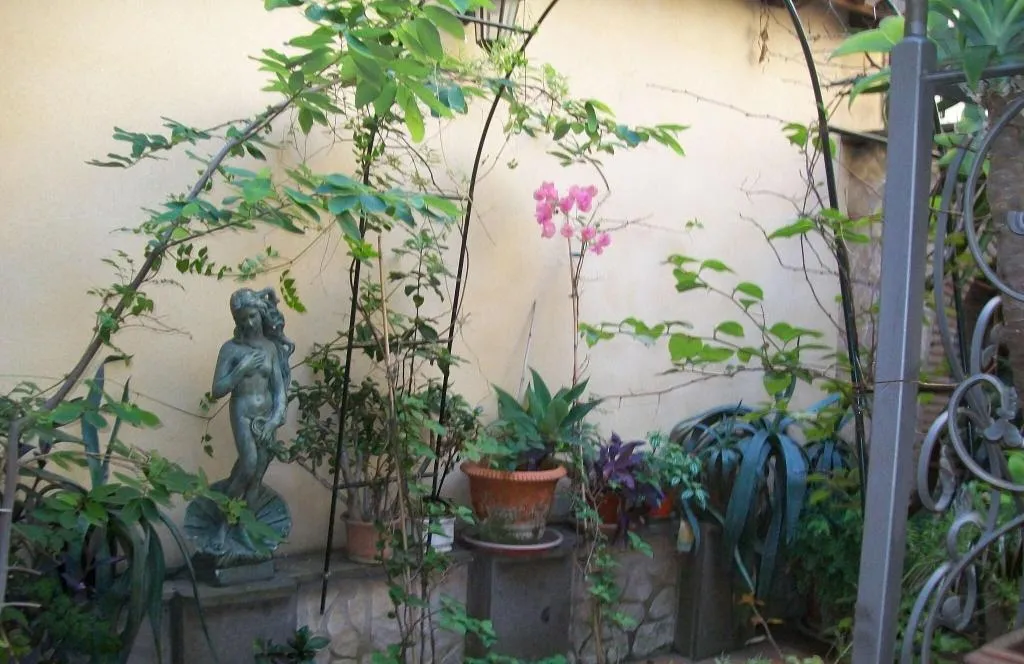 Terrace, Alexis, Rome
