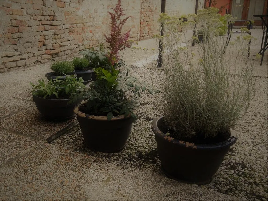 Terrace, Relais Alcova del Doge, Venice