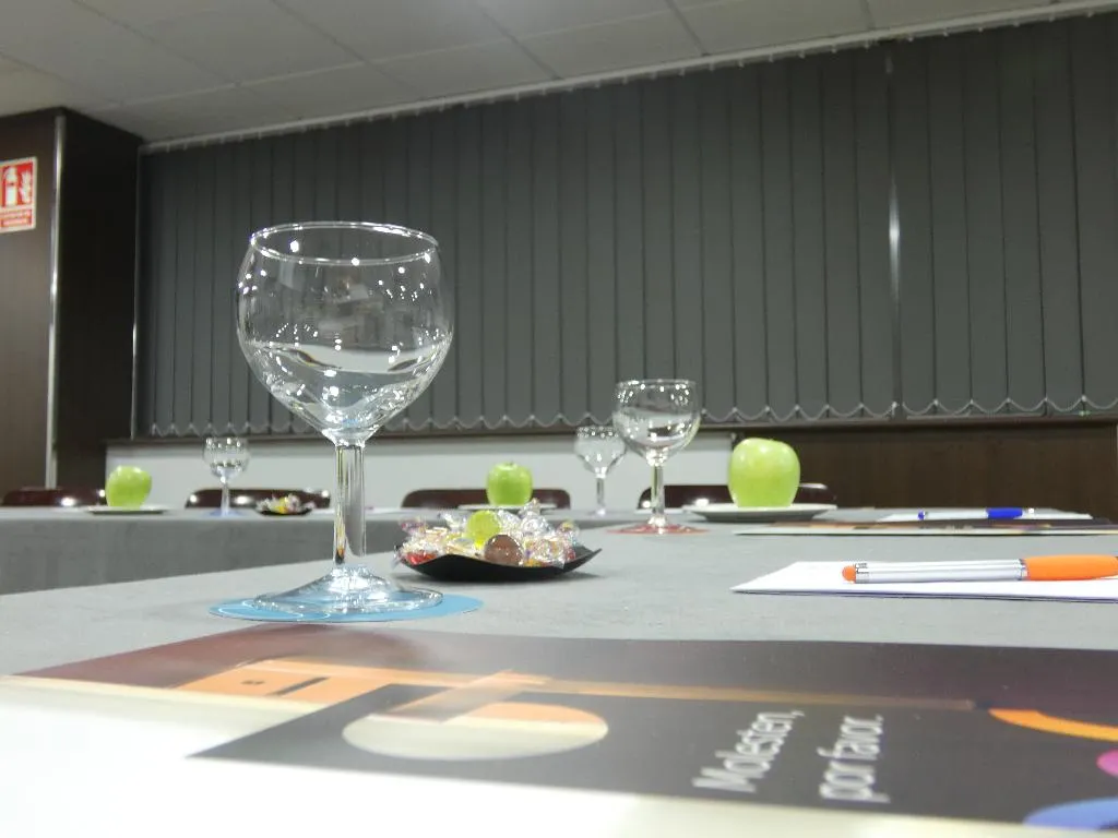 Conferences, Hotel Chamartin the One, Madrid