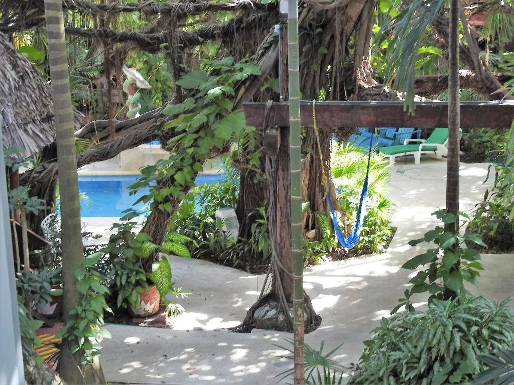 General view, Eco-hotel El Rey Del Caribe, Cancun Area