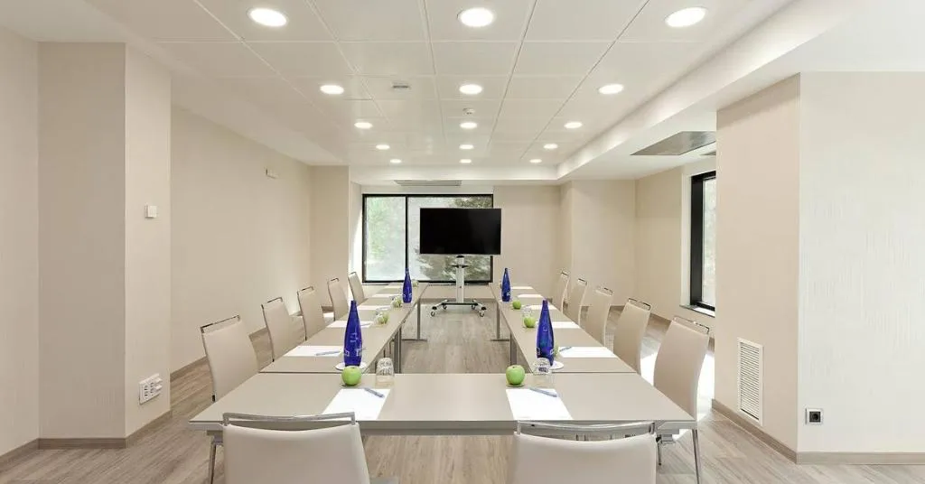 Conferences, Melia Avenida America, Madrid