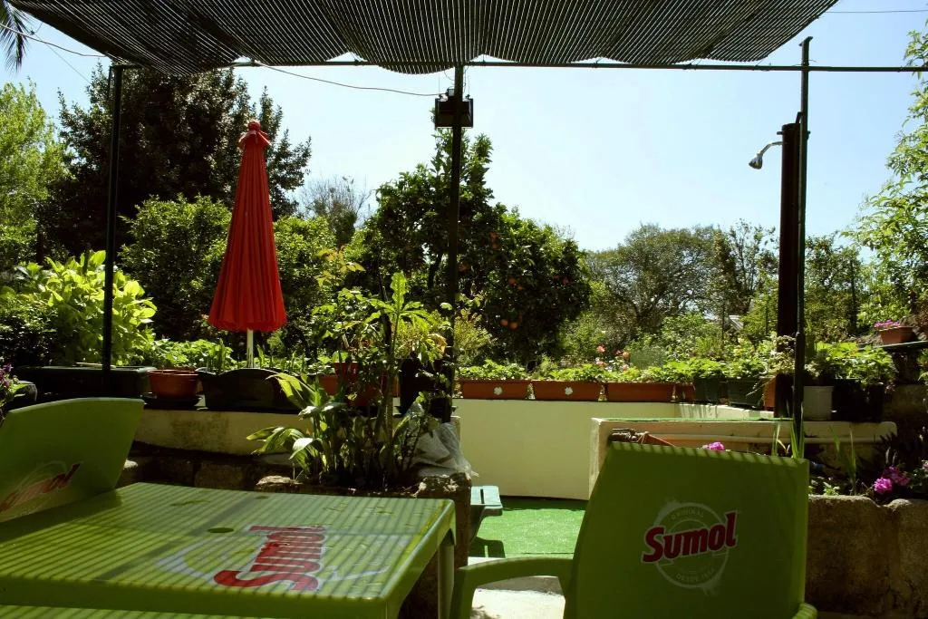 Terrace, Estoril Porto, Porto