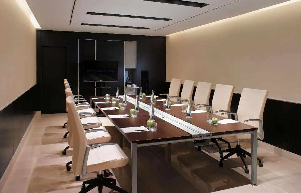 Conferences, Melia Madrid Princesa, Madrid