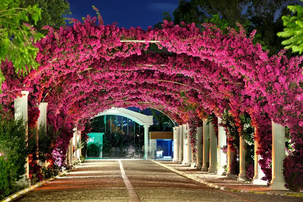 Lobby, Kadikale Resort Spa, Bodrum