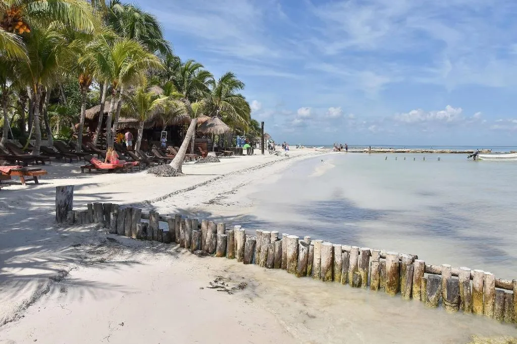 Beach, Soho Boutique Holbox - Adults Only, Cancun Area