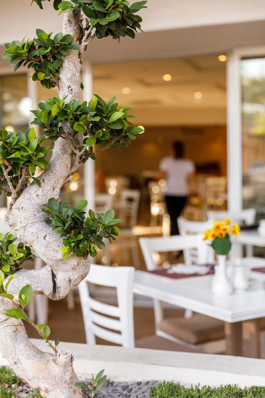 Terrace, Best Western Plus Hotel Plaza, Rhodes