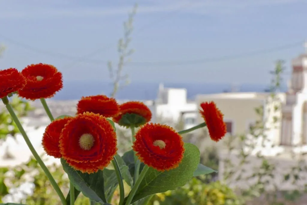 General view, Sweet Pop - Adults Only, Santorini