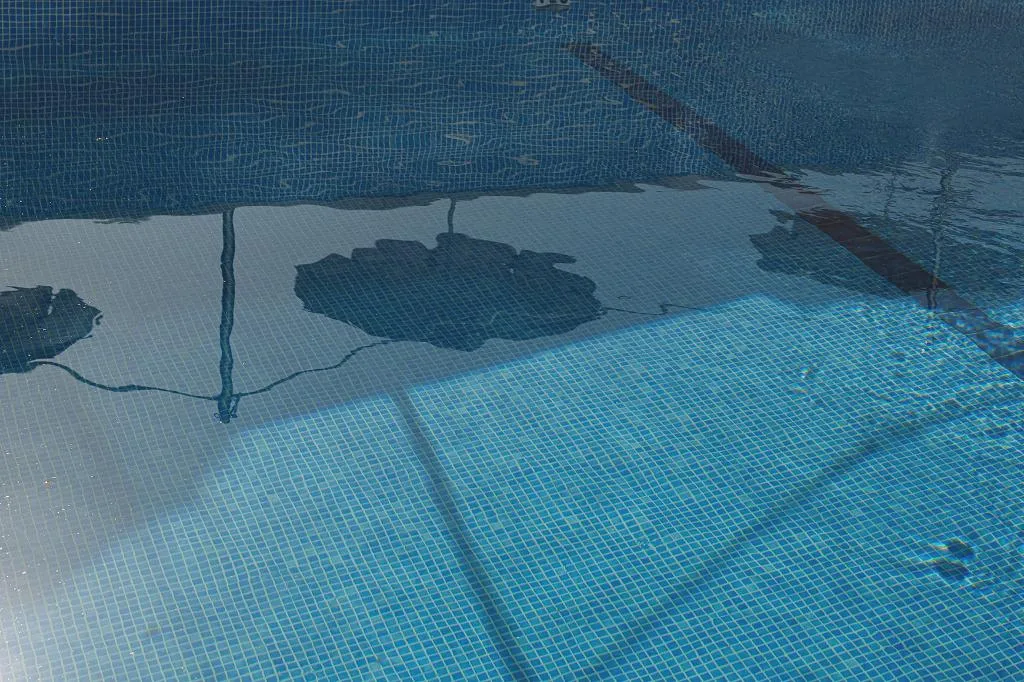 Pool, Aparthotel Novo Mar, Majorca