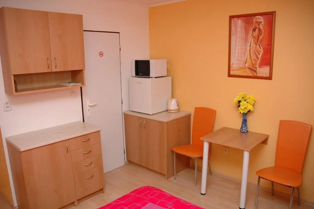 Room, Penzion V Roklích, Prague