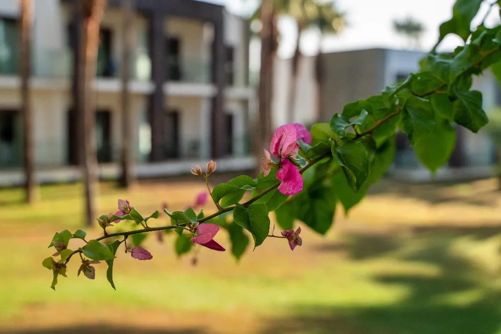General view, HillStone  Bodrum Hotel & SPA, Bodrum