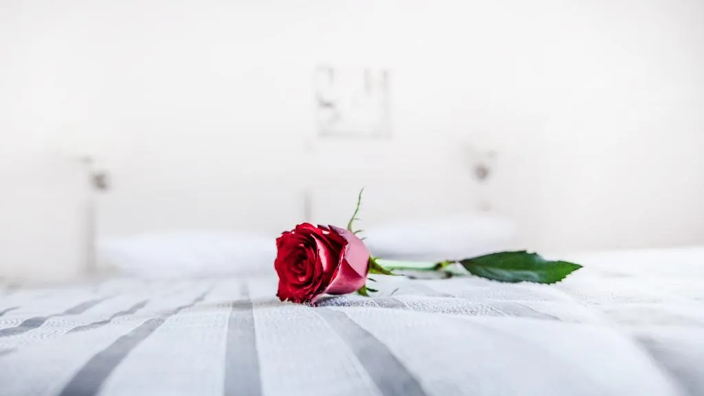 Double or Twin STANDARD Room, Elena, Kalamata