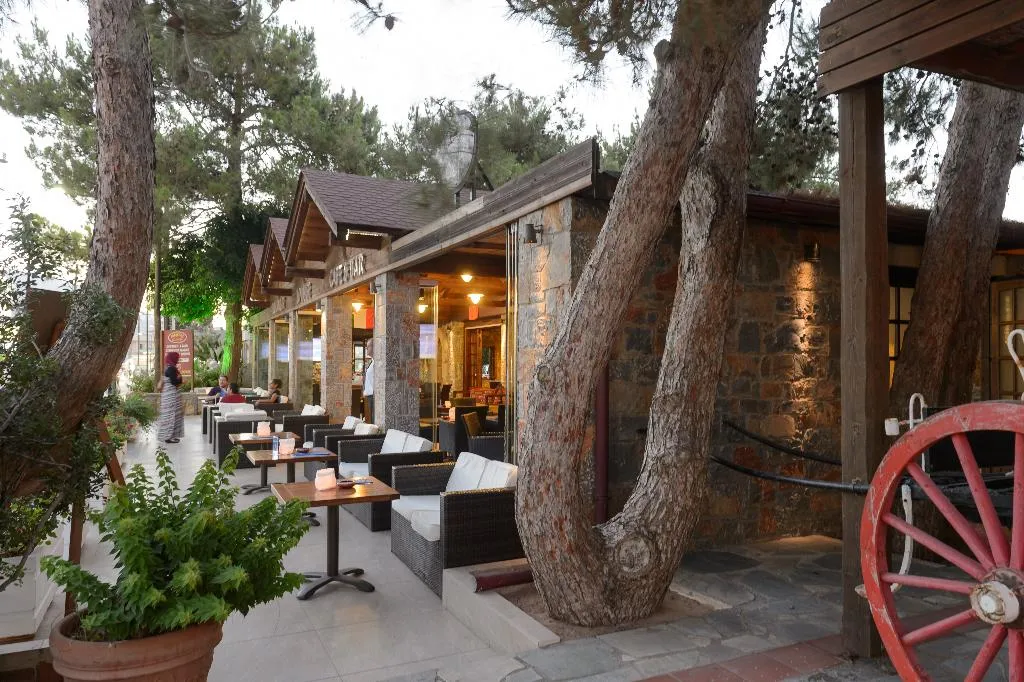 Bar, Alexander Beach Hotel & Village Resort, Crete
