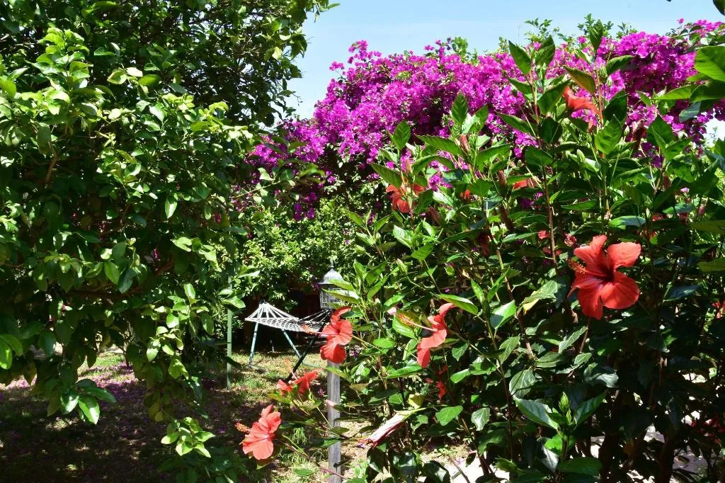 General view, Lemon Garden Lodge, Antalya