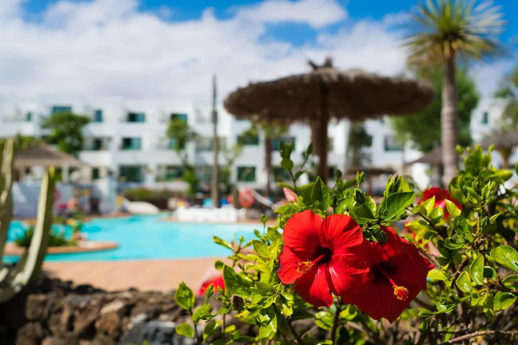 General view, Galeon Playa, Lanzarote