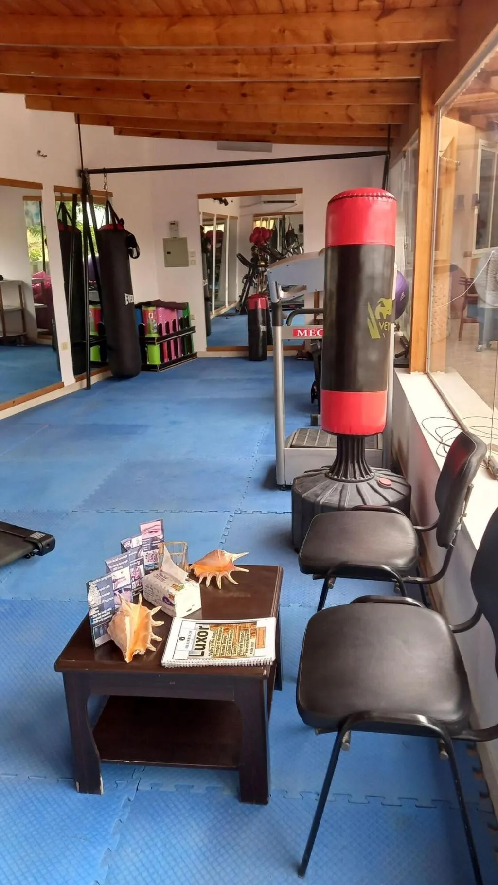 Sports and Entertainment, Silver Beach Boutique Hotel, Red Sea Riviera