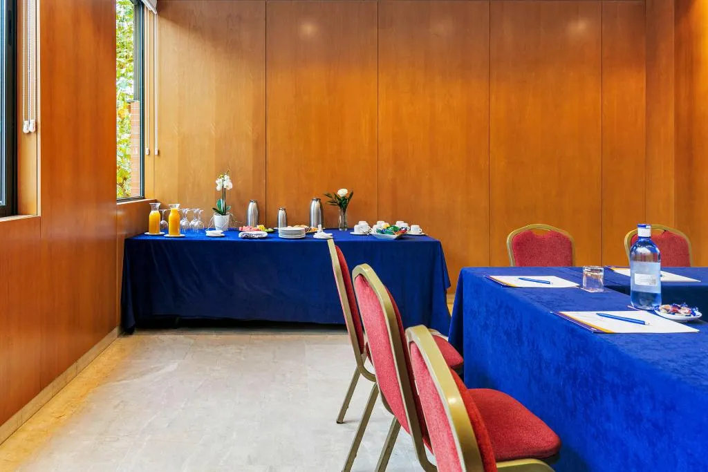 Conferences, Sercotel de los Reyes, Madrid
