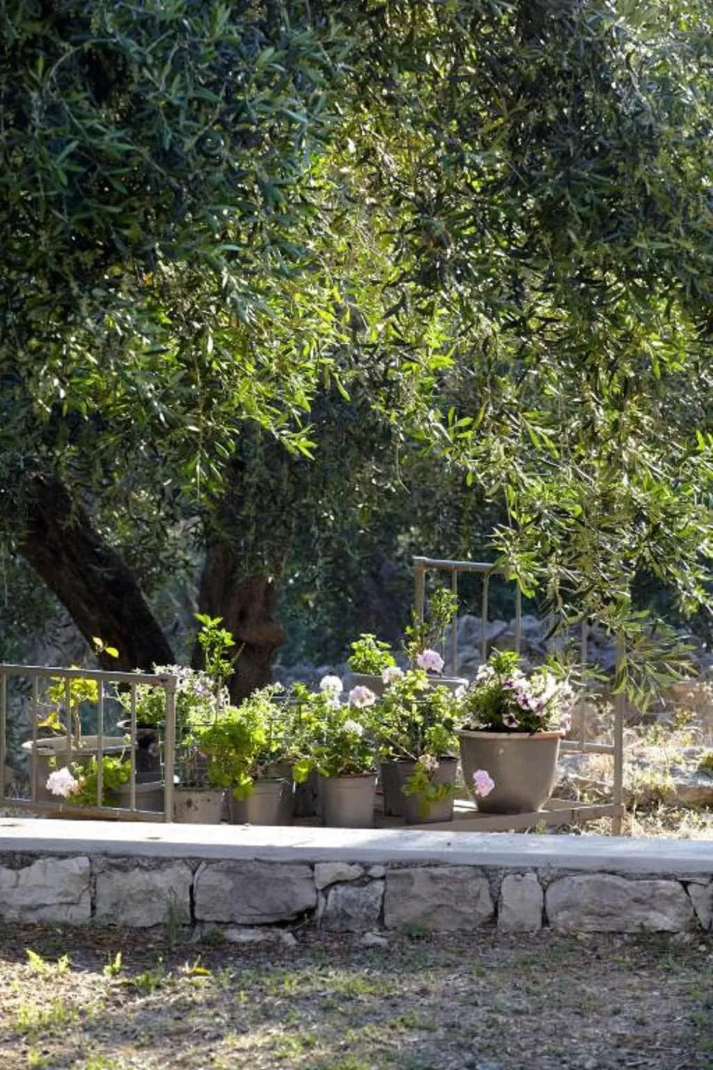 Room, Torri e Merli Hotel by GHH, Corfu