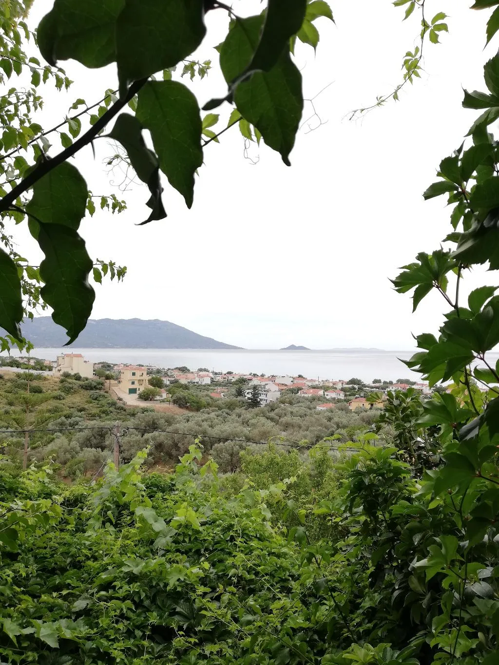 APARTMENT SEA VIEW Room, Apartments Jota, Samos