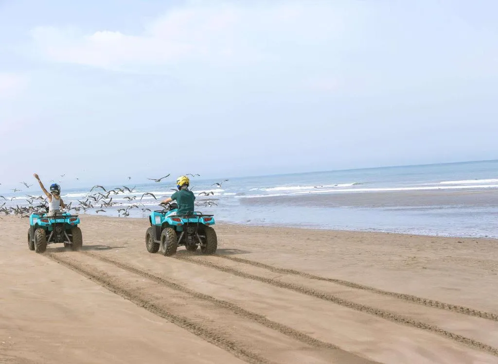 Sports and Entertainment, Mazagan Beach & Golf Resort, Casablanca