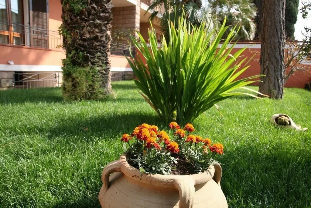 General view, Villa Marogna Rooms And Breakfast, Alghero