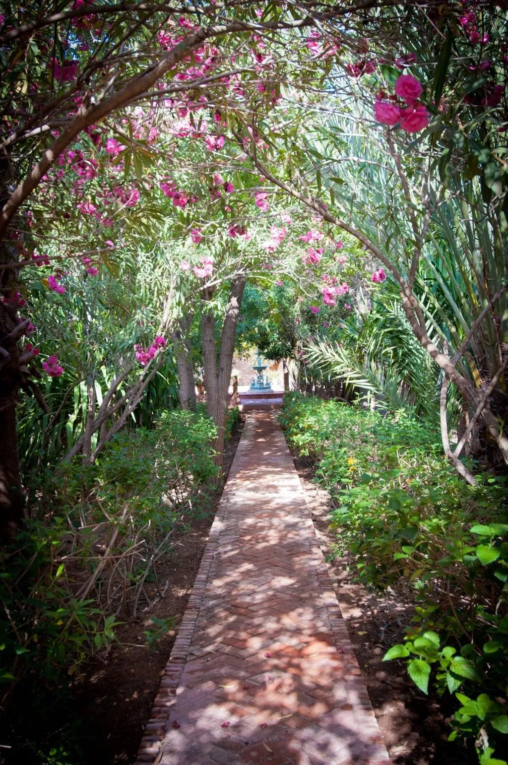 General view, Dar Ayniwen Garden Hotel & Bird Zoo, Marrakech