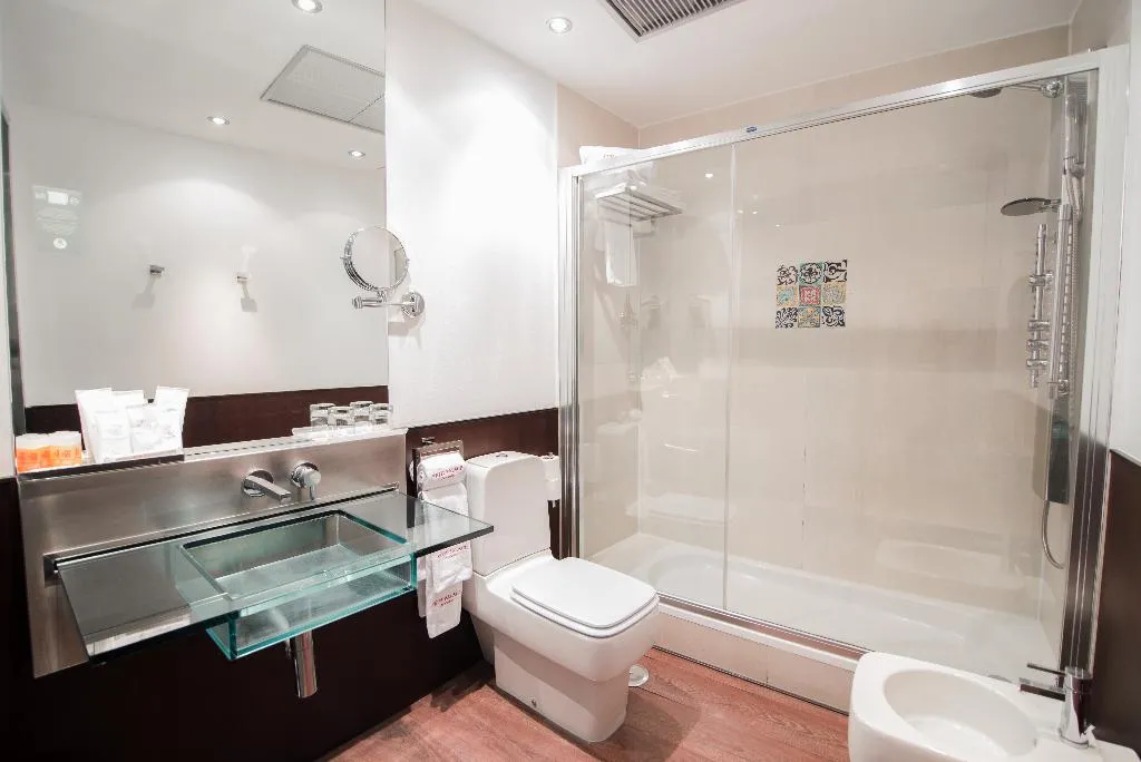 DOUBLE STANDARD Room, Petit Palace Marques Santa Ana, Seville