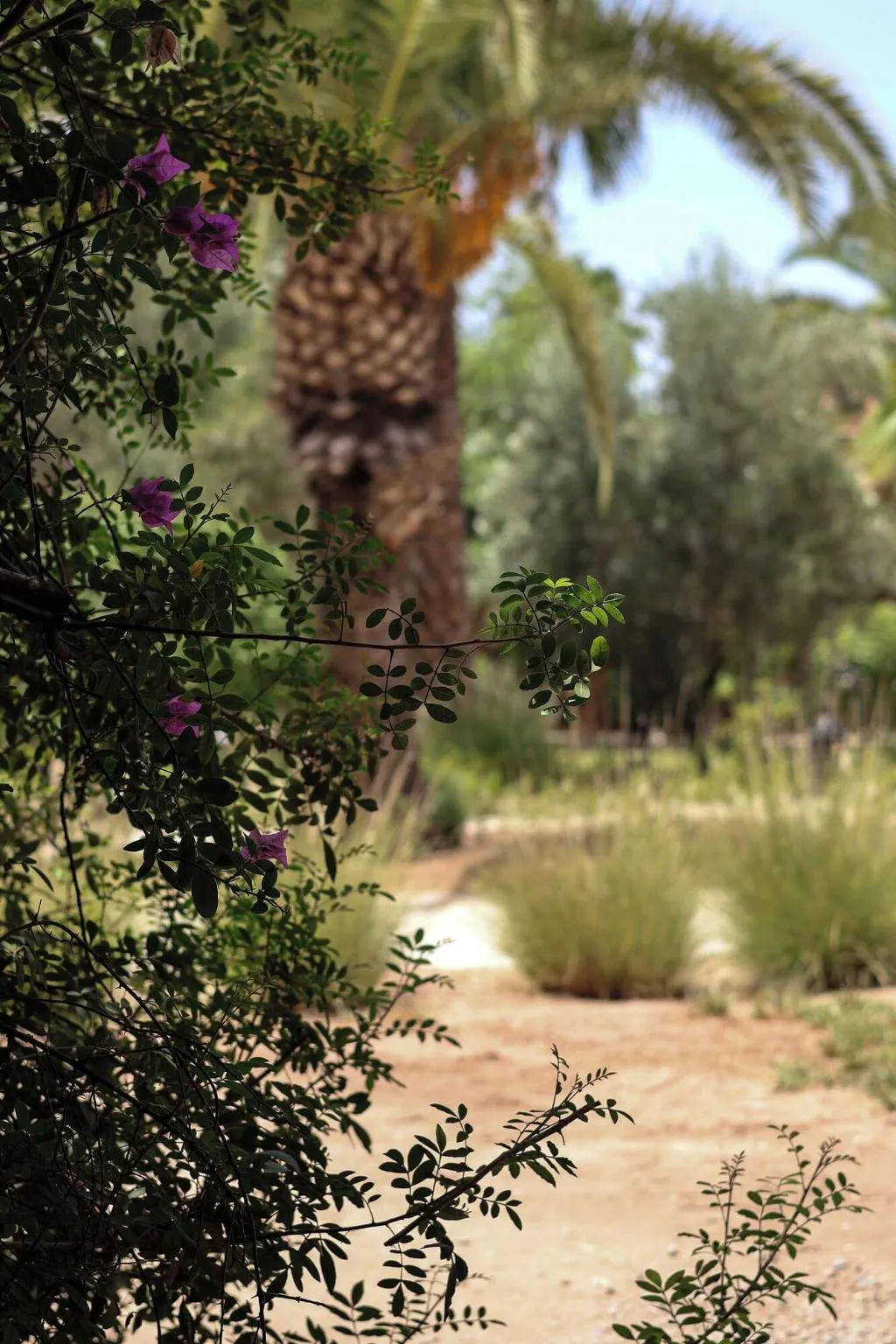 Terrace, Villa al Assala Palmeraie, Marrakech