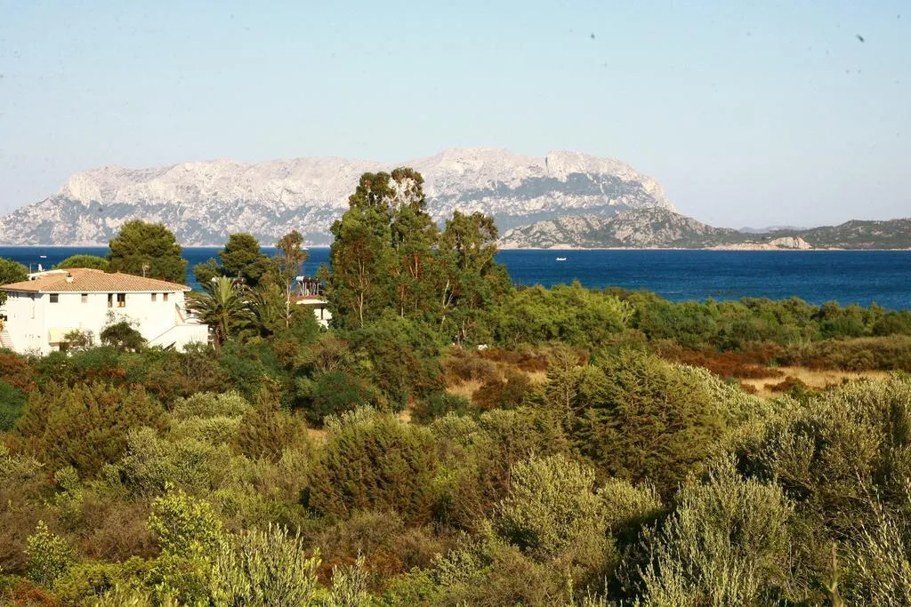Beach, Mare Blue, Olbia