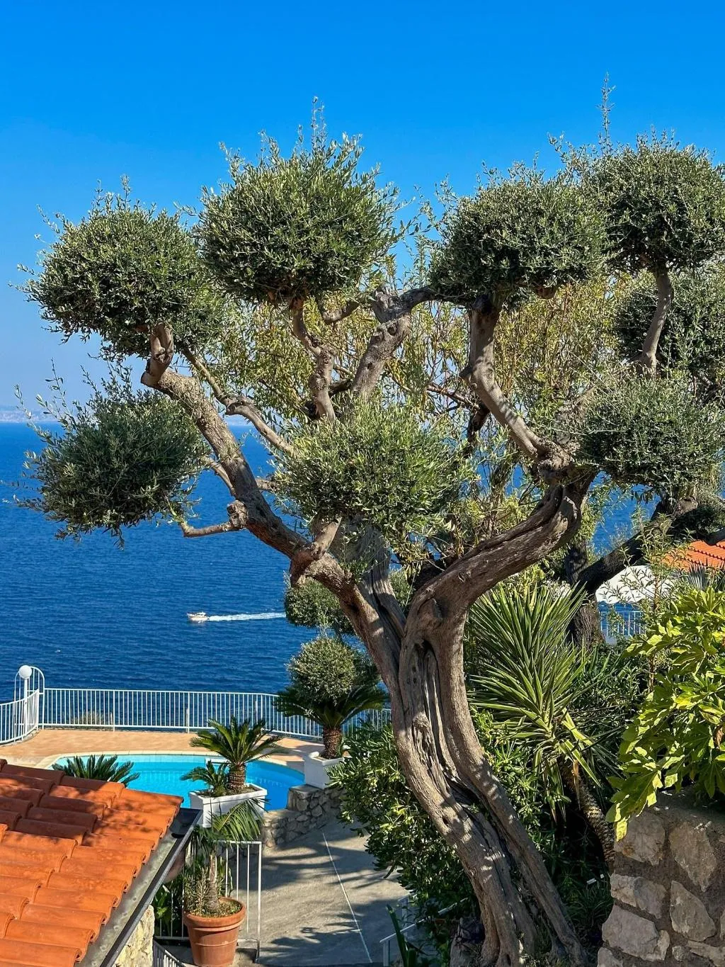 General view, Hotel Villa  Lubrense Sorrento, Naples