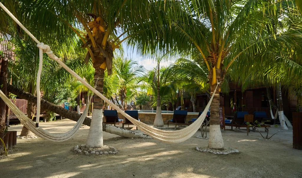 General view, Coconut By ÓOL Hotels, Cancun Area