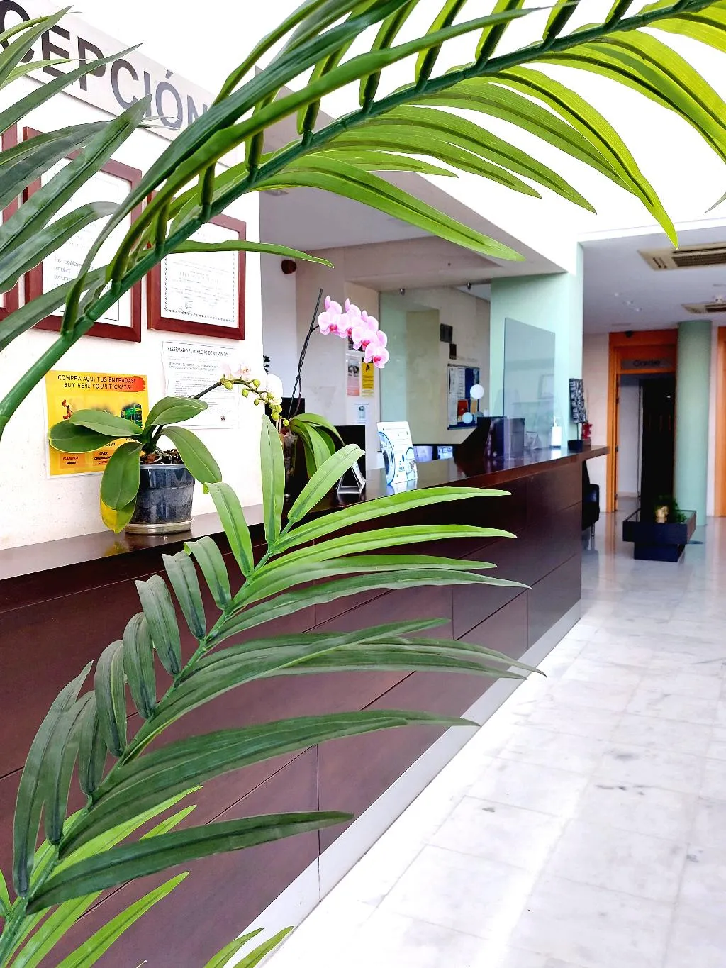 Lobby, Domocenter Apartamentos TurÃ­sticos, Seville