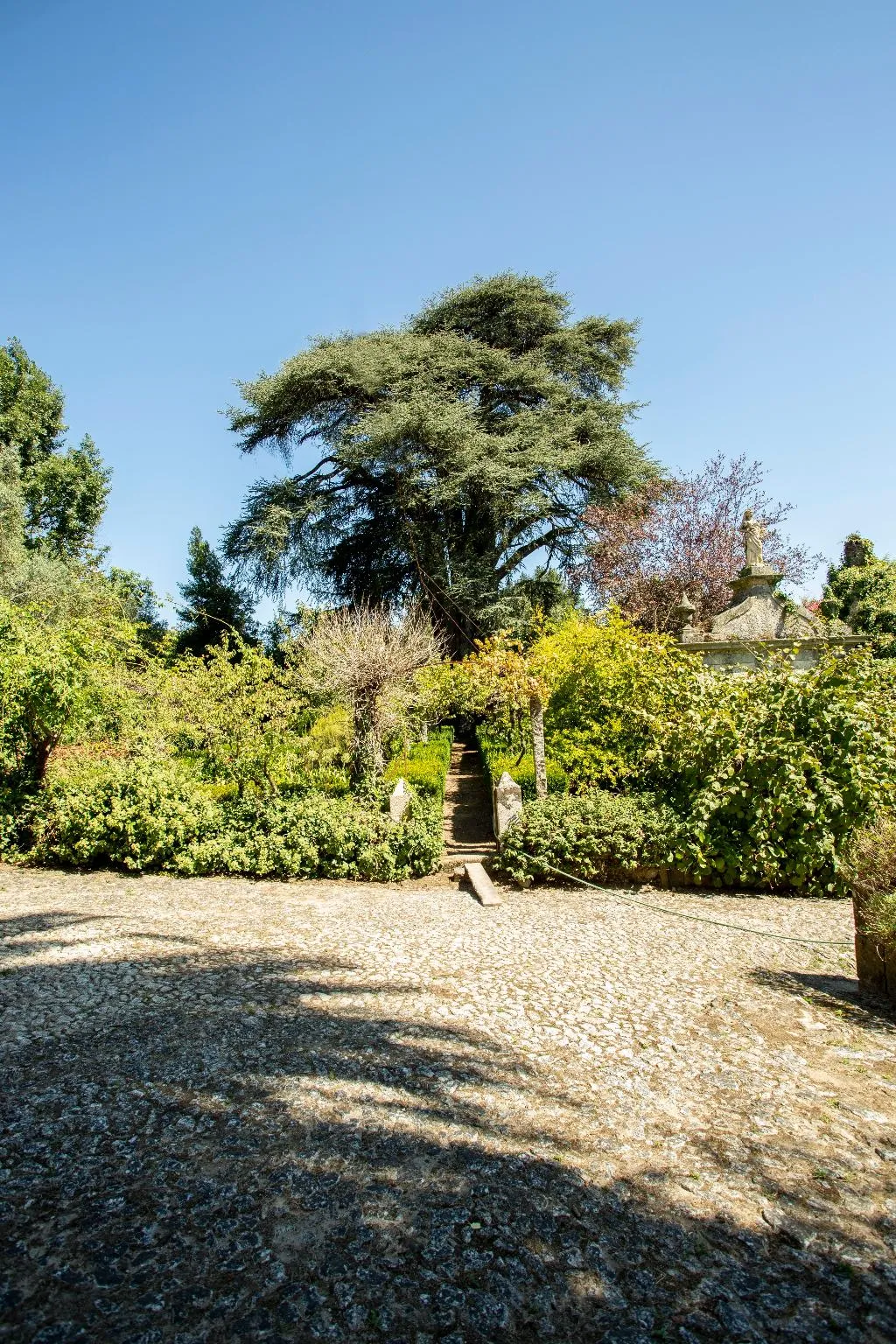 General view, Quinta De S. Caetano, Porto