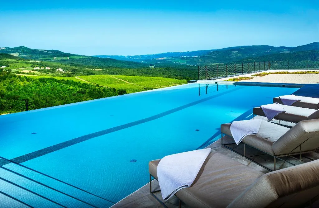 Pool, ROXANICH Winery and Design Hotel, Istria