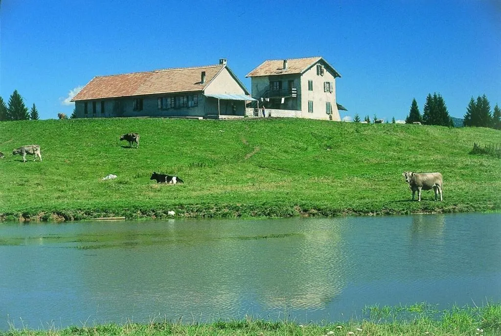 General view, Residence Alaska, Venice