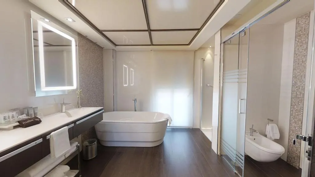 DOUBLE SINGLE USE STANDARD Room, Vincci Seleccion Aleysa, Costa Del Sol