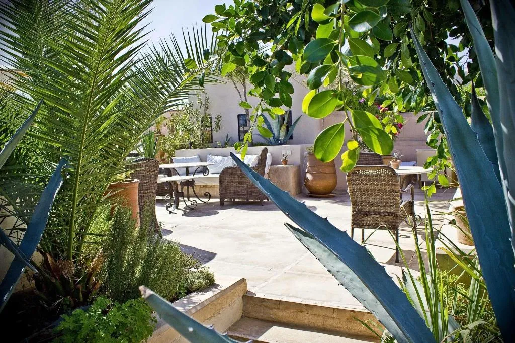 Terrace, Riad Camilia, Marrakech