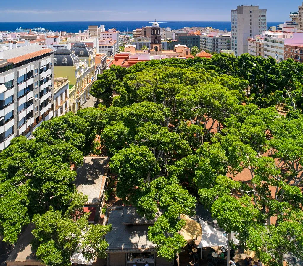 General view, Principe Paz, Tenerife