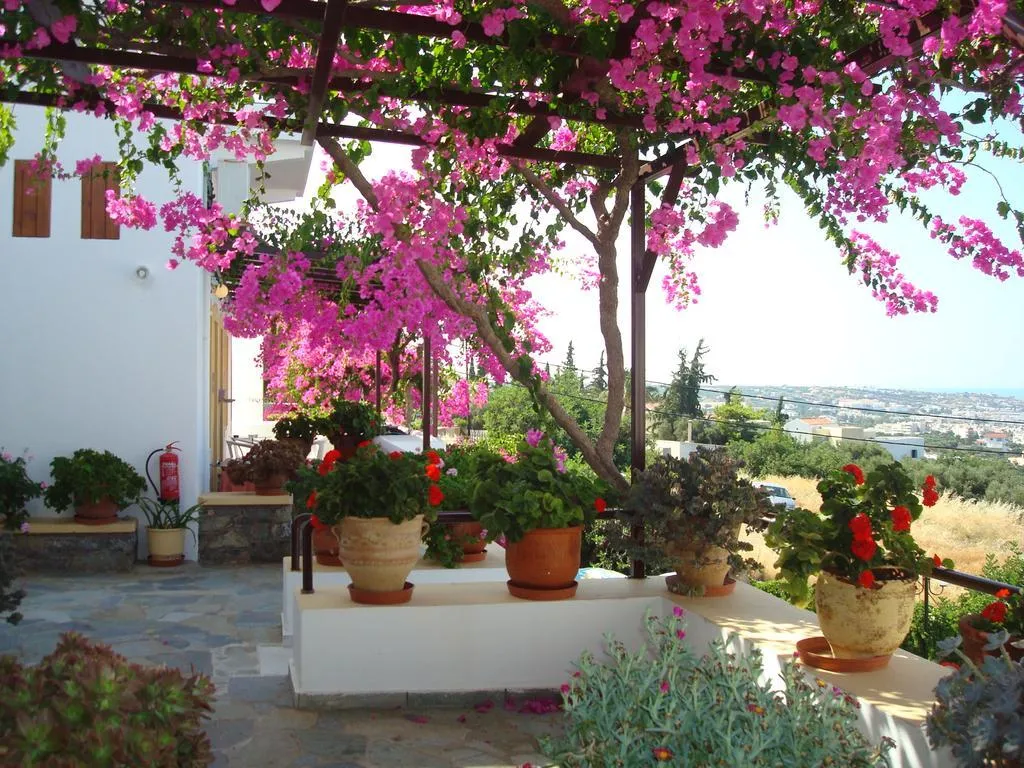 General view, Villa Diktynna, Crete