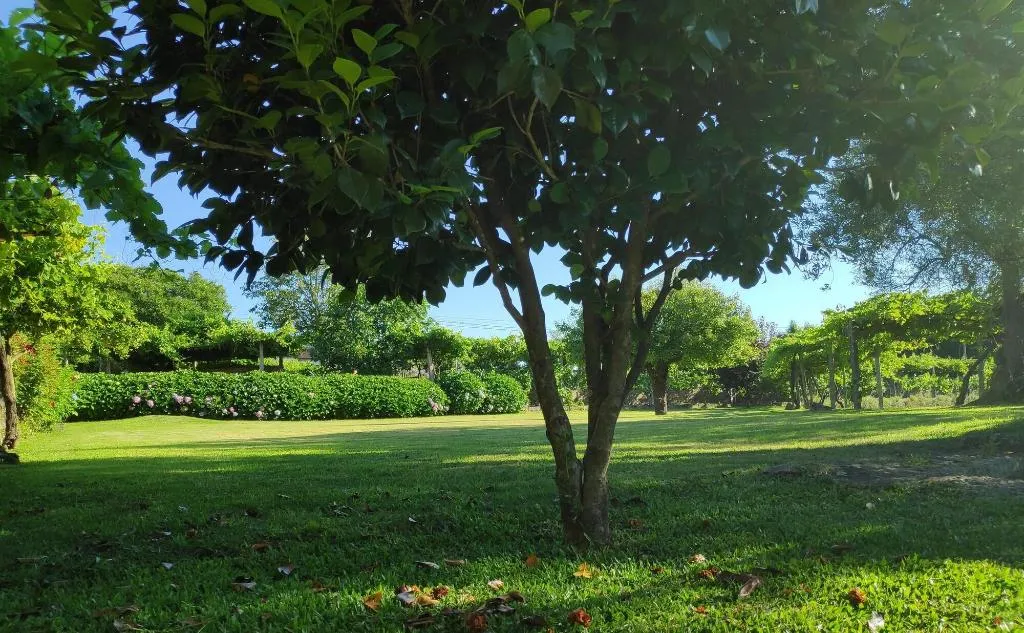 General view, Casas Da Quinta Da Cancela, Porto