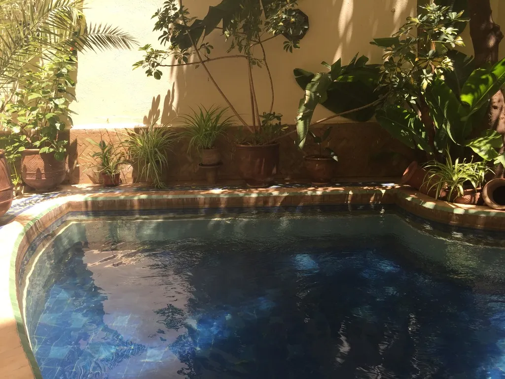Pool, Riad La Cle De Fes, Fez