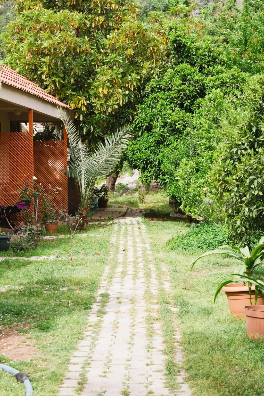 General view, Village Garden Pansiyon, Antalya