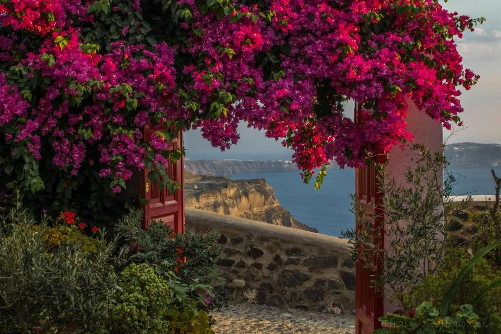 General view, Aigialos Luxury Traditional Settlement, Santorini