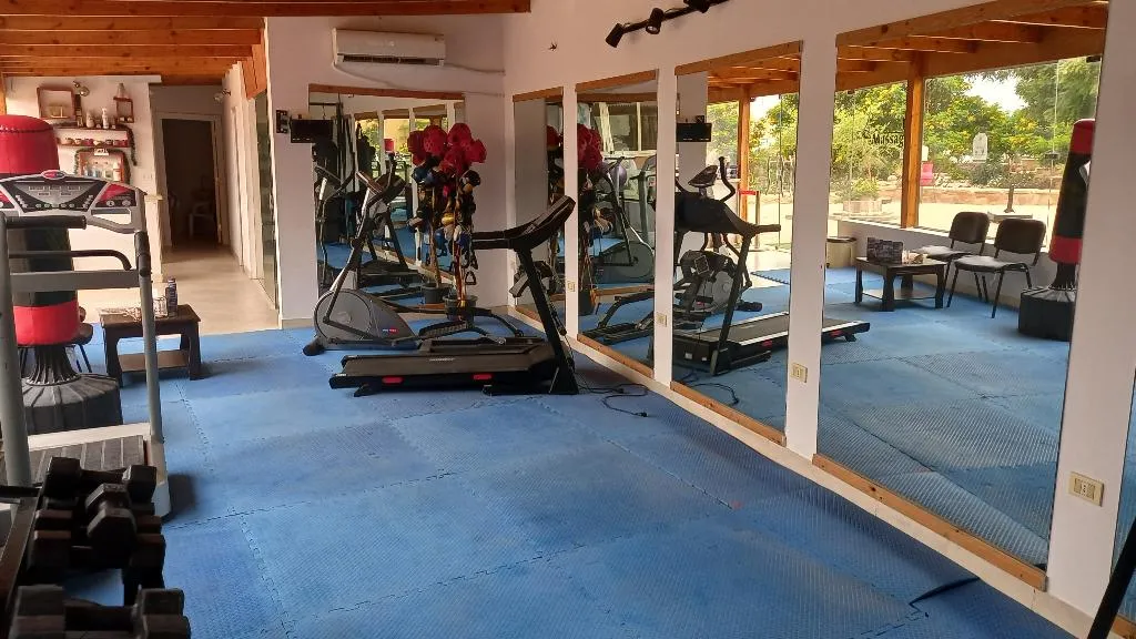 Sports and Entertainment, Silver Beach Boutique Hotel, Red Sea Riviera
