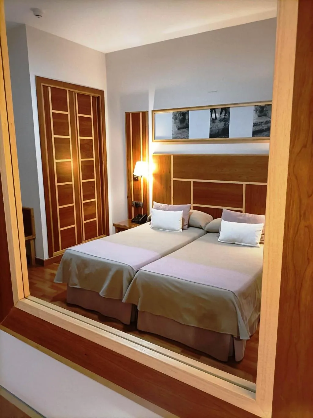 DOUBLE SINGLE USE STANDARD Room, Hotel Carmen, Costa Del Sol