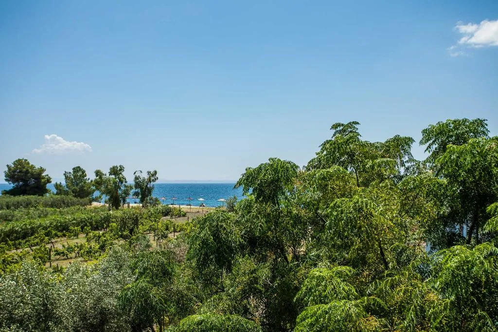 General view, Coral Blue Beach Hotel Gerakini, Halkidiki