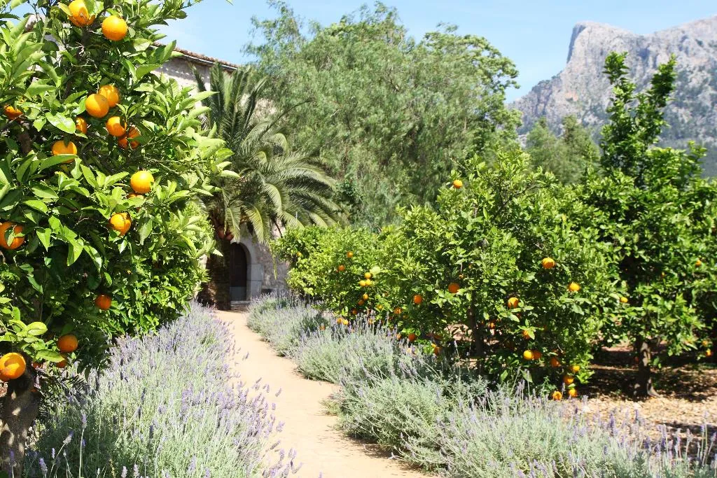 General view, Hotel Finca Ca's Curial, Majorca