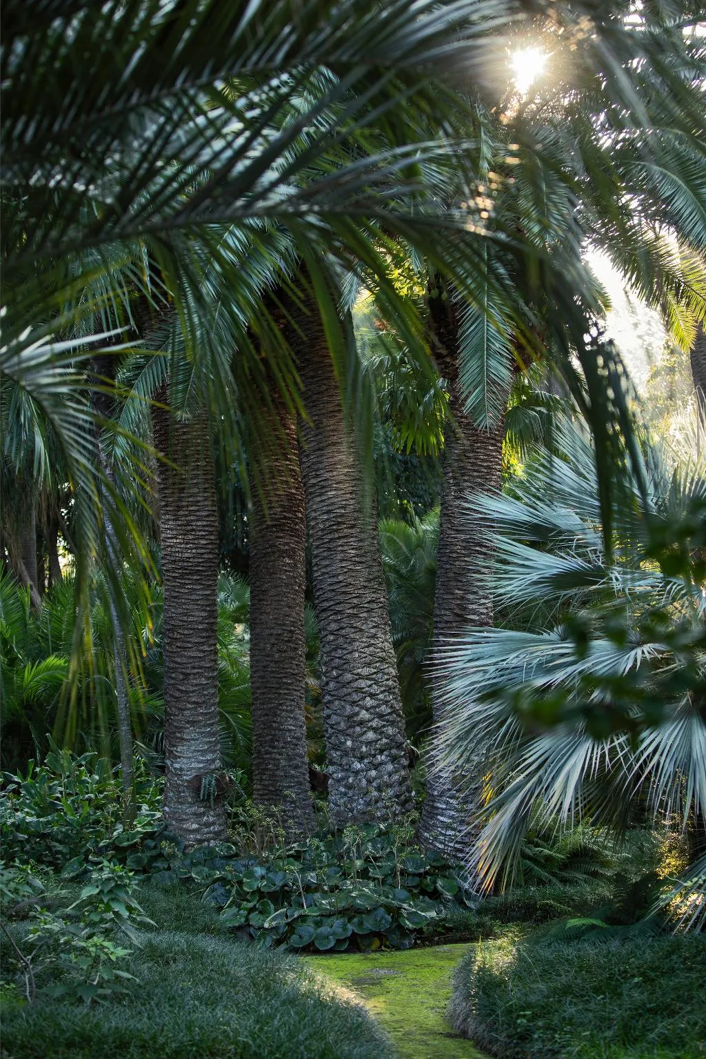 General view, Parco Dei Principi, Naples
